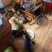 Jordanilikegoats is Single in Rockford, Michigan, 2