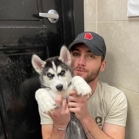 ryanadamsfranklove