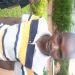 Kef48 is Single in Moshupa, Southern