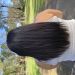 Jodie177 is Single in GC, Queensland