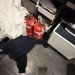 SilverFoxA is Single in Aberfeldie, Victoria