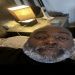 EJBenjamin62 is Single in Worcester, England