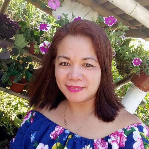 Cliecel