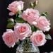 Caro1991 is Single in Annapolis, Maryland, 4