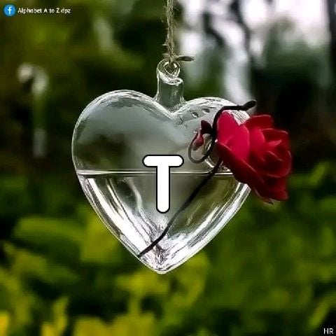 Annila