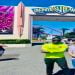 Al2312 is Single in Browns Plains, Queensland