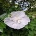 Kateyes6707 is Single in GREER, South Carolina