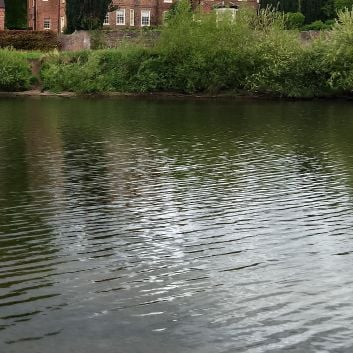 Alan_subba is Single in york, England, 2