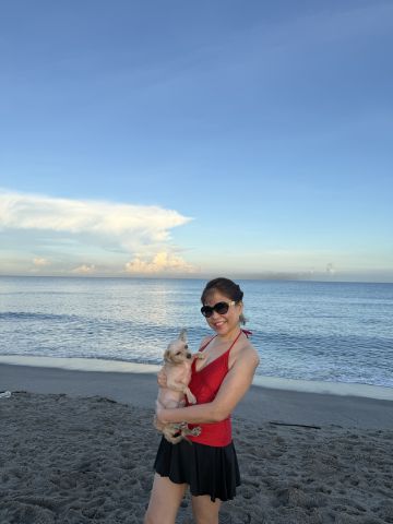 ciillee