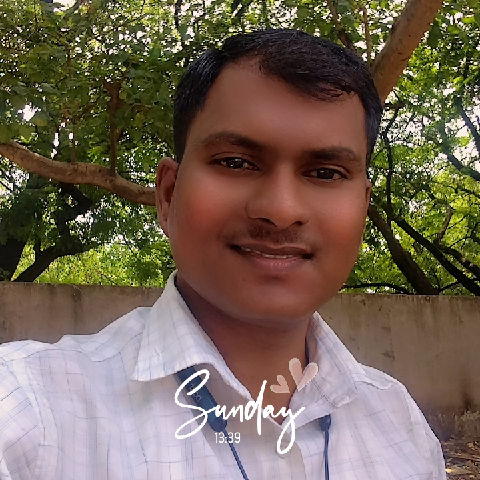 mesagarkute