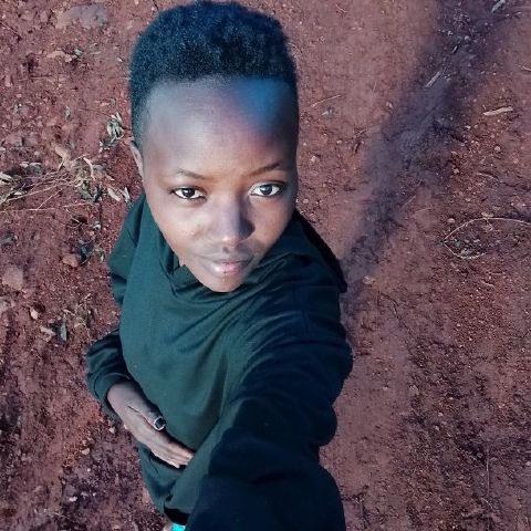 Sheimo