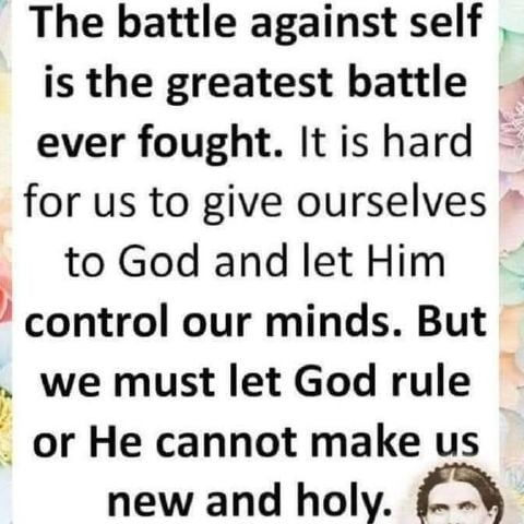 ELL19 is Single in Will Let You Know, Florida, 2