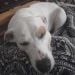 Kmp4202 is Single in ROCHESTER, New York