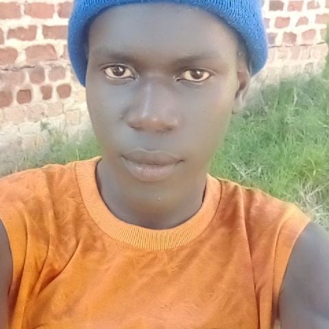 Kingjboy
