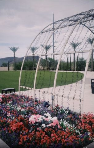 Princemugisha2025 is Single in Calgary, Alberta, 2