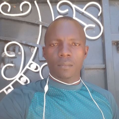 Bonfsce