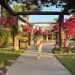 RossGS is Single in Corona, California