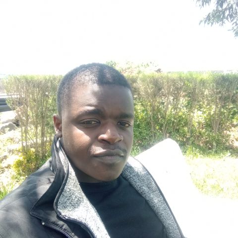 Harold254