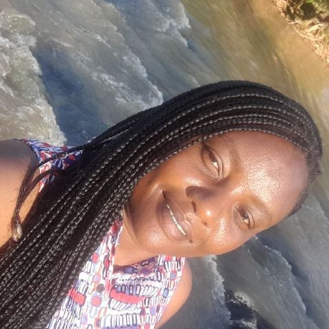 Vio254