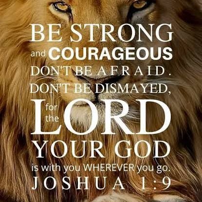 David1231