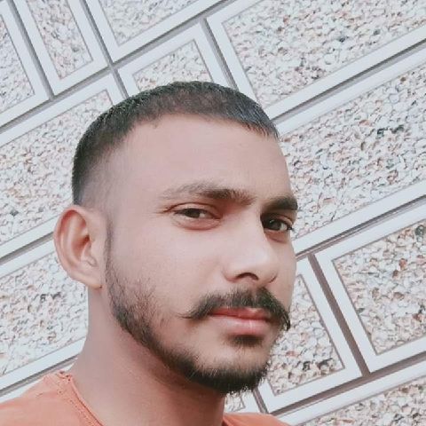 Lolesh123