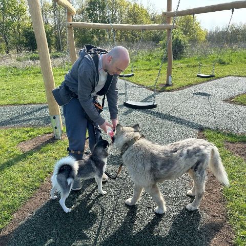 Venzano_344 is Single in Colchester, England, 4