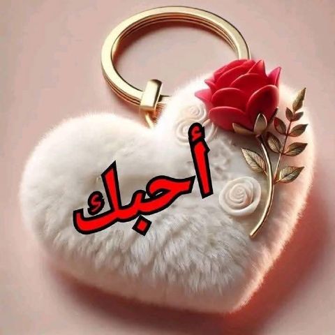 Ebrahimebrahim