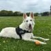 Venzano_344 is Single in Colchester, England