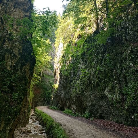 MarkoM1