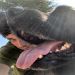 lovethelifeyolive is Single in Lompoc, California