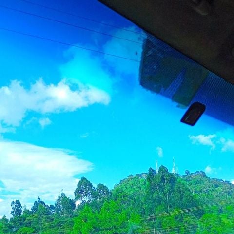 RaayN