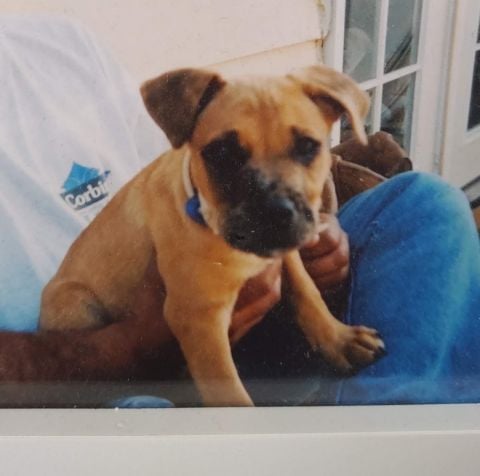 LOOXOTIC is Single in Ocala, Florida, 3