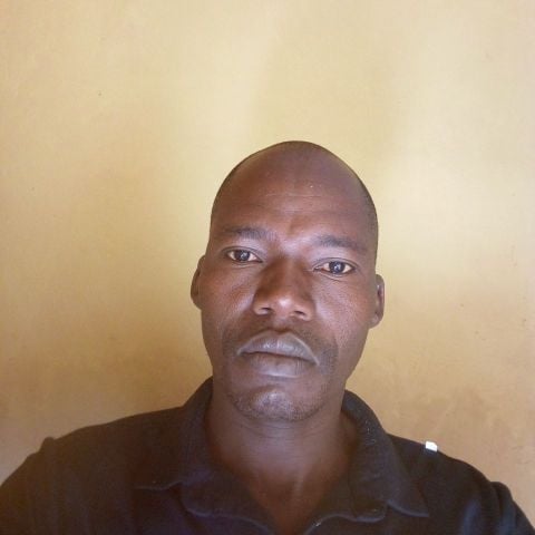 Binsud