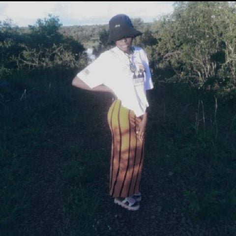 Nalledy