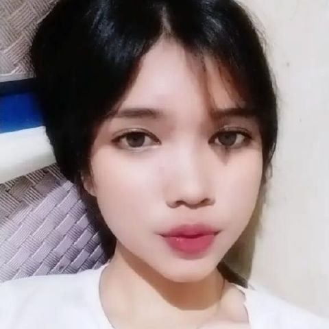 lia1305