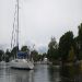 sailorg is Single in NEWPORT, Washington, 8