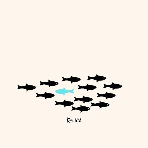 GIMENA is Single in Comodoro Rivadavia, Chubut, 4