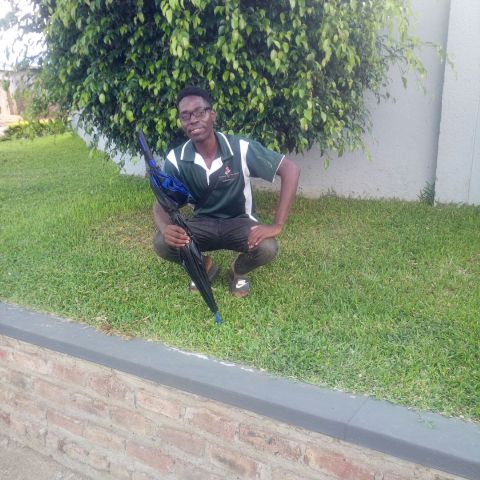 Numeri