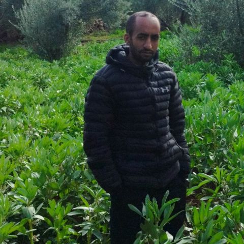 Mohamed80