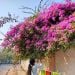 Itz_philomina is Single in Berhampur, Orissa, 2