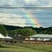 jimbob531 is Single in Richlands, Virginia
