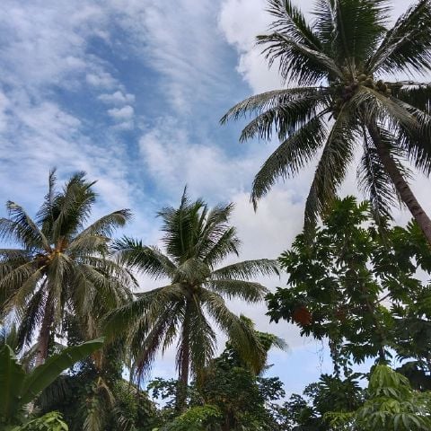 Susyantimandak