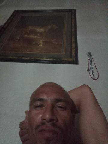 Bladi