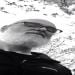 KevLex70 is Single in Lexington, Kentucky
