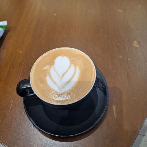 Ellen530