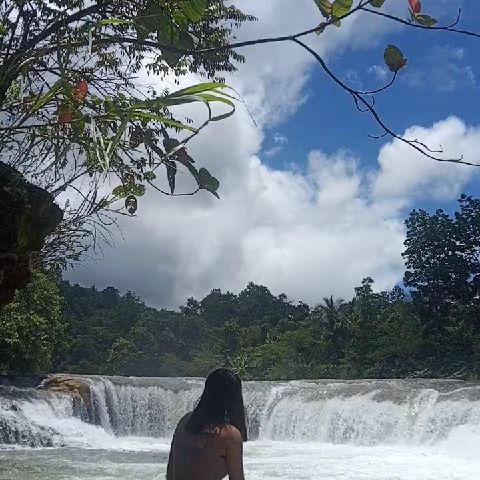 Venocenar