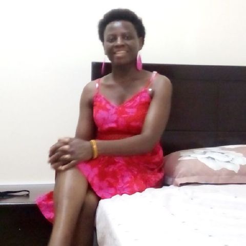 Rose25637