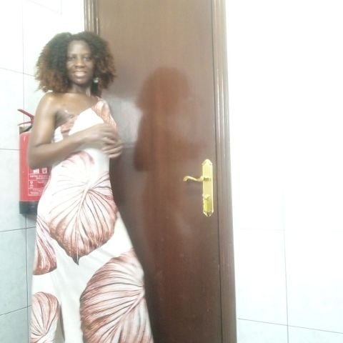 Rose25637