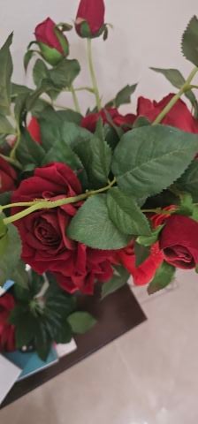 Jannie34