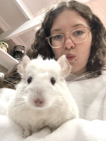 abbynel